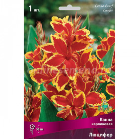 Люцифер 2шт