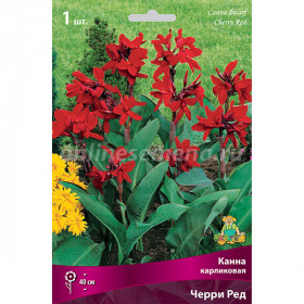 Черри Ред 2шт