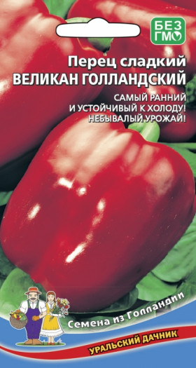 Великан Голландский сладкий Ц(УД)