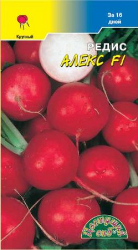 Алекс (16 дней)/Цветущий Сад