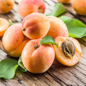 Слава Севера 1шт/сетка Поиск