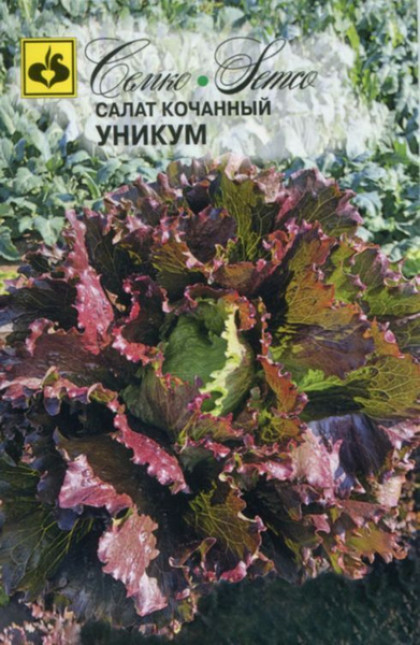 Уникум кочанный Семко