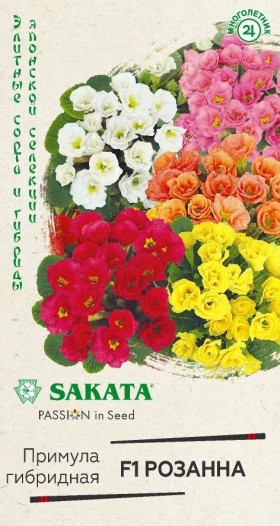 Розанна махровая смесь Ц(Г)