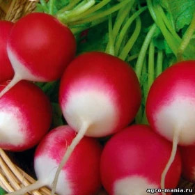 Розово-красн с бел кончиком 25гр\Гавриш