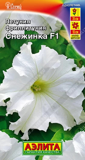 Фриллитуния Снежинка Ц(А)