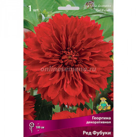 Рэд Фубуки бахомч.1шт