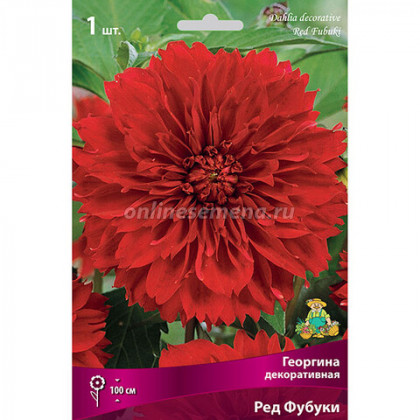 Рэд Фубуки бахомч.1шт