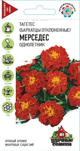 Мерседес УС(Г)