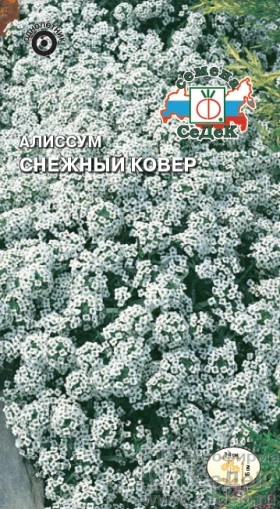 Снежный Ковер Ц(С)