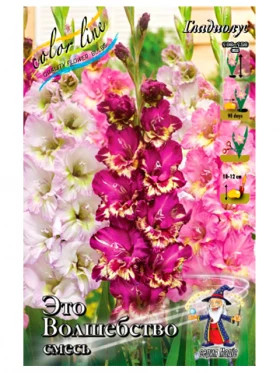 Это Волшебство смесь 10/12 6шт