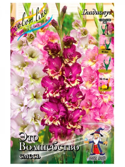 Это Волшебство смесь 10/12 6шт