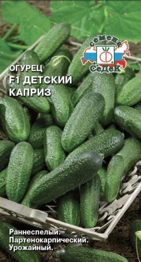 Детский каприз Ц(С)