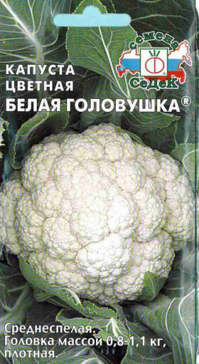 цветная Белая головушка Ц(С)