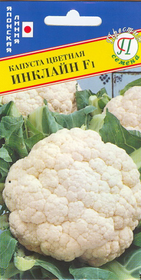 цветная Инклайн F1 Ц(П)