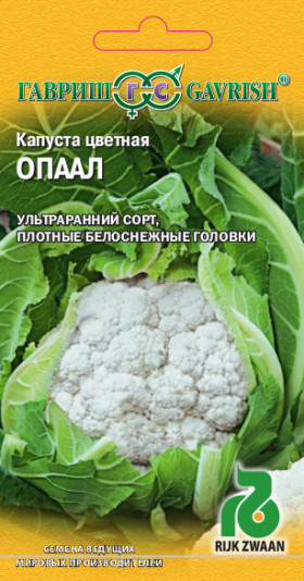 цветная Опаал Ц(Г)