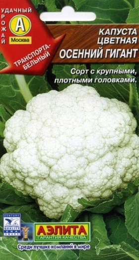 цветная Осенний гигант Ц(А)