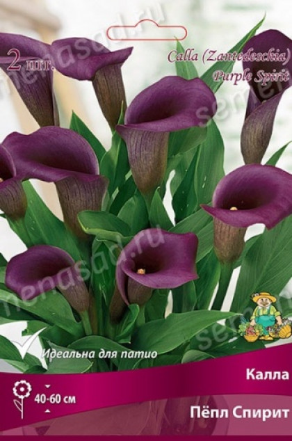 Пепл Спирит 2шт Поиск