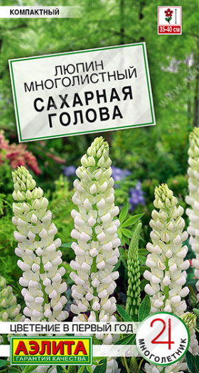 Сахарная голова Ц(А)