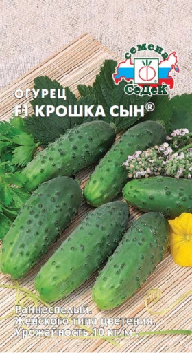 Крошка Сын Ц(С)