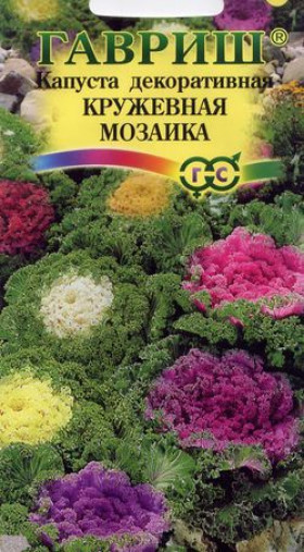 Кружевная мозаика Ц(Г)