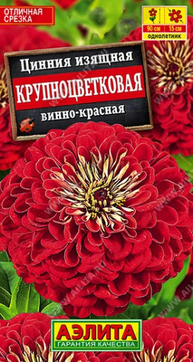 Крупноцветковая Винно-красная Ц(А)