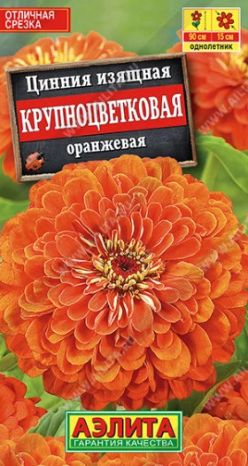 Крупноцветковая Оранжевая Ц(А)