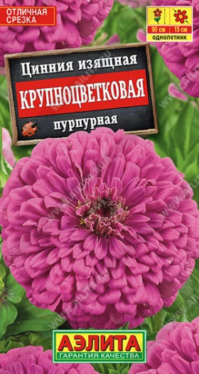 Крупноцветковая Пурпурная Ц(А)