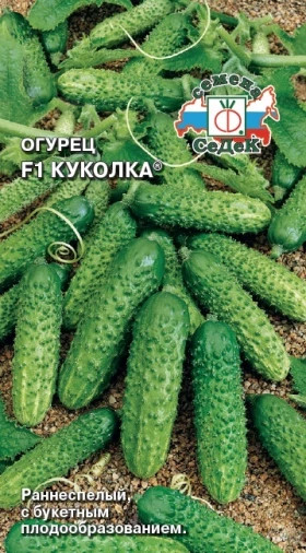 Куколка Ц(С)