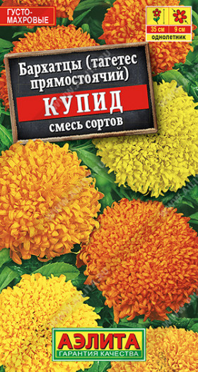 Купид хризантемовидные смесь Ц(А)