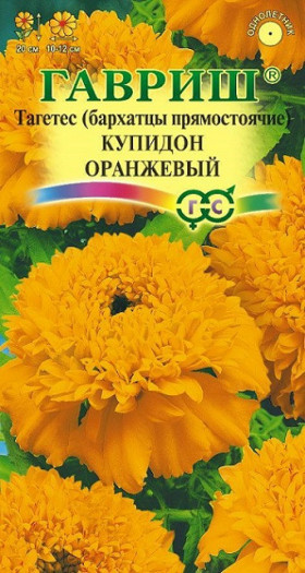 Купидон оранжевый Ц(Г)