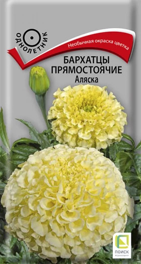 Аляска прямостоячие Ц(Поиск)