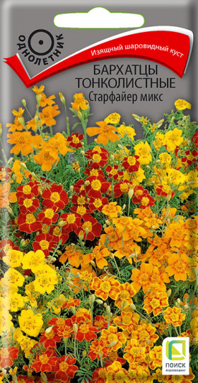 Старфайер микс тонколистные Ц(Поиск)