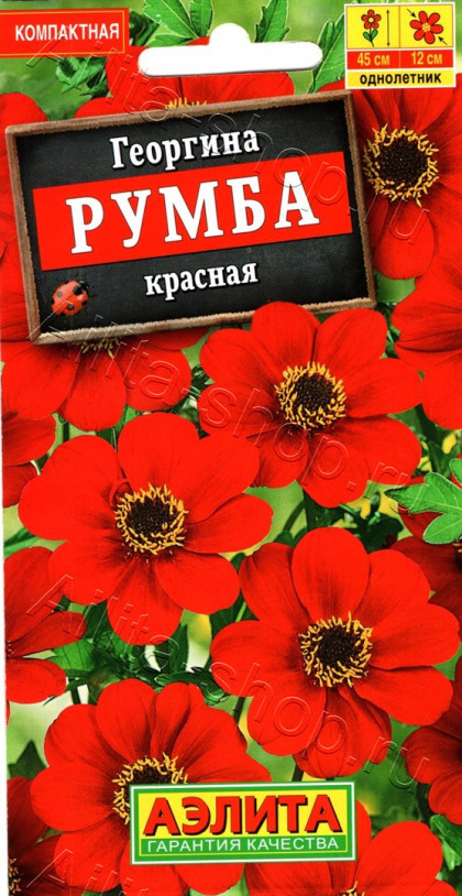 Румба красная Ц(А)