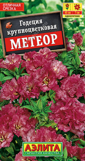 Метеор крупноцв Ц(А)