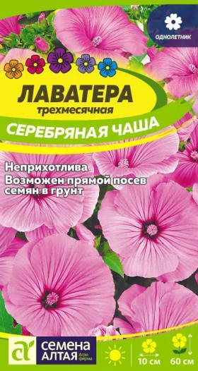 Серебряная чаша Ц(Алт)