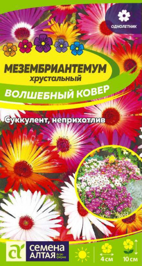 Волшебный ковер Ц(Алт)