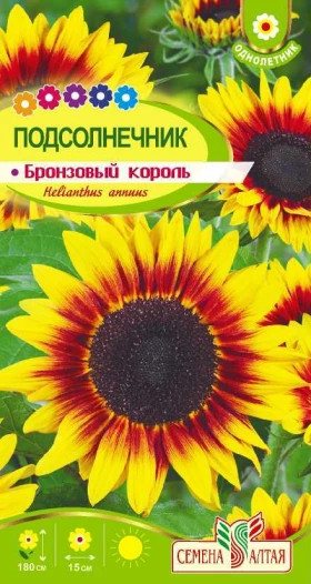 Бронзовый Король Ц(Алт)