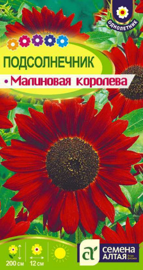 Малиновая Королева Ц(Алт)