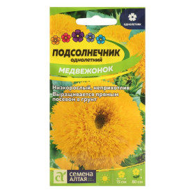 Медвежонок Ц(Алт)