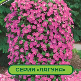 Лагуна Альбертина 5шт многоцв мини каскад Партнер