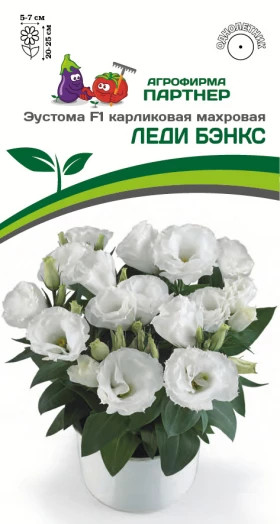 Леди Бэнкс 5шт карлик махр Партнер