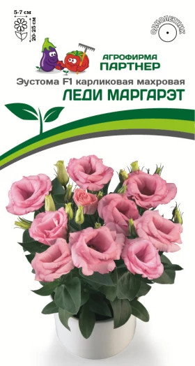 Леди Маргарэт 5шт карлик махр Партнер