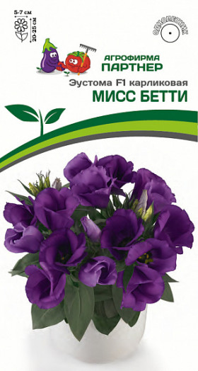 Мисс Бетти 5шт карлик Партнер