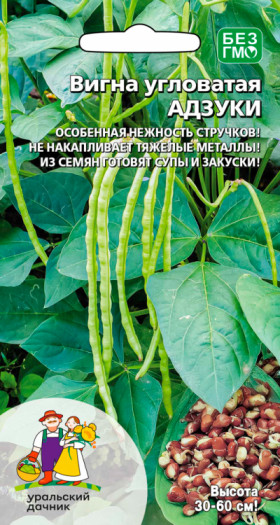 Адзуки угловатая Ц(УД)