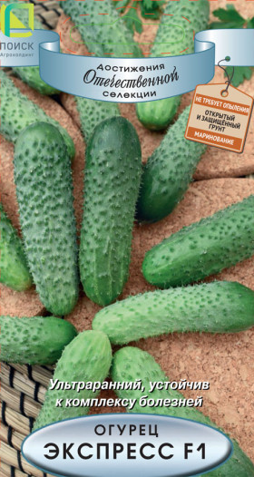 Экспресс  Ц(Поиск)