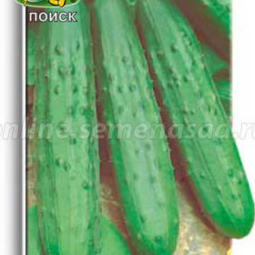 Эстафета 12шт Ц(Поиск)