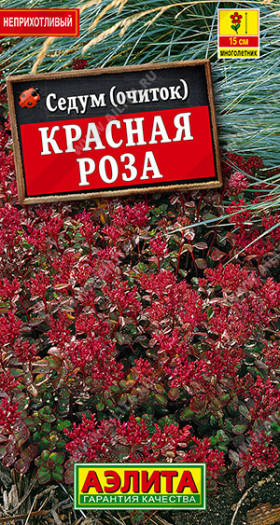 Красная роза Ц(А)