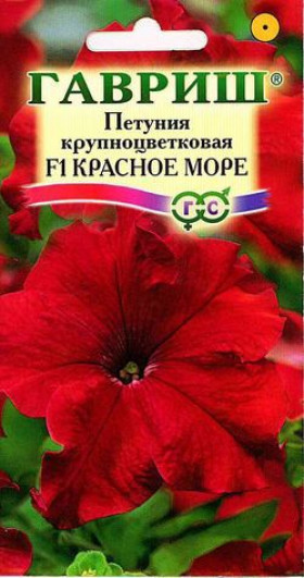 Красное море Ц(Г)