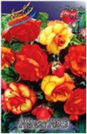 Микс № 3-(махр.ор.+пикоти жел/крас.) 2шт