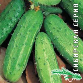 Верные Друзья 12шт.Ц(Поиск)